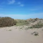 아파트 Mar *
